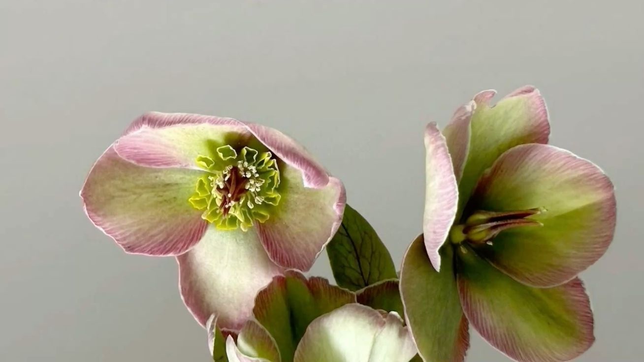 Красивое изображение с текстом