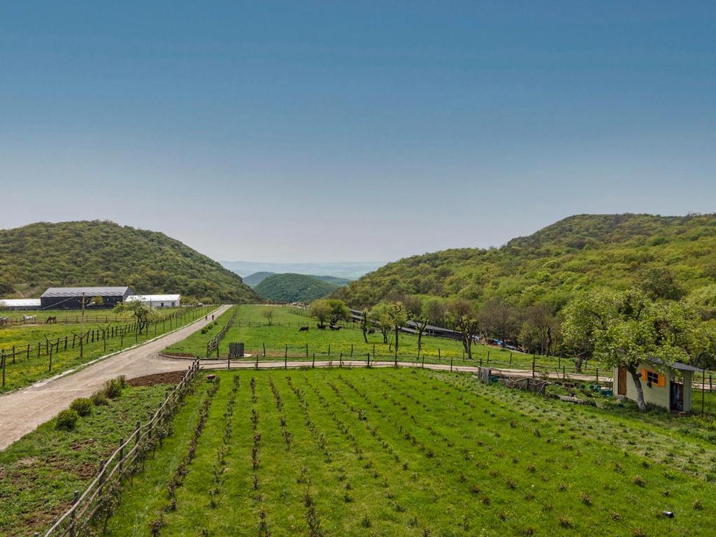 Описание первой картинки